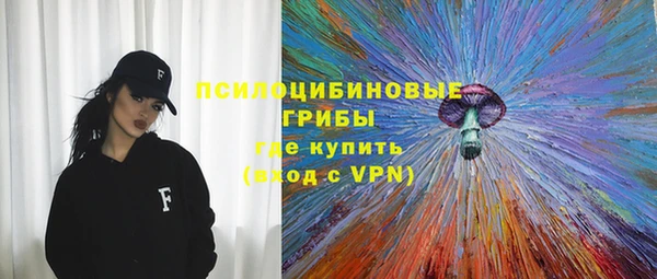 прущая мука Алзамай