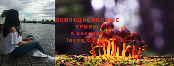 прущая мука Алзамай